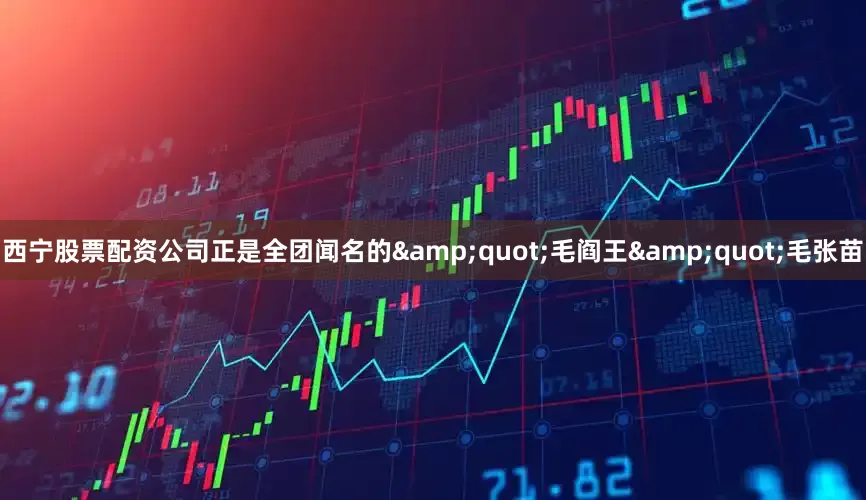 西宁股票配资公司正是全团闻名的&quot;毛阎王&quot;毛张苗